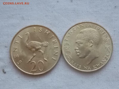 Иностранные монеты, наборы, 2евро, польша, приднестр, Киргиз - Танзания 20 сенти 1981.JPG