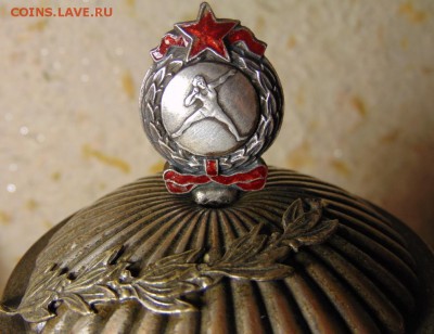 Кубок КРАСИВЫЙ ранний - DSC00882.JPG