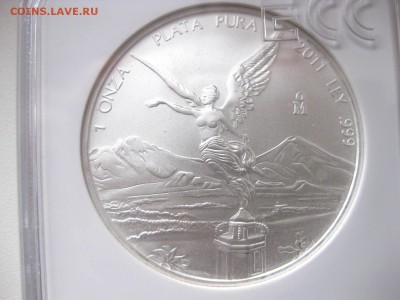 MS70)!до 15.03.2015 - IMG_2842.JPG