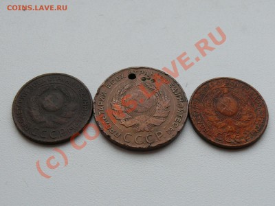 3, 5 копеек 1924 - P1060275.JPG