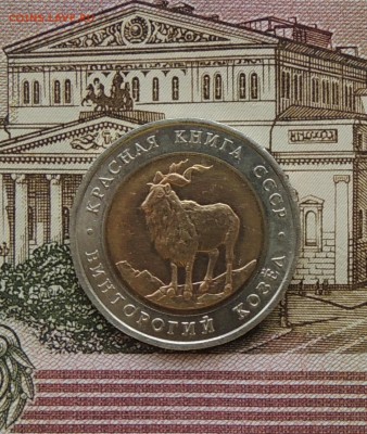 КК 5руб. Винторогий козел, 1991 г.до 19.03.15г.22:00 (мск) - DSCN9596.JPG
