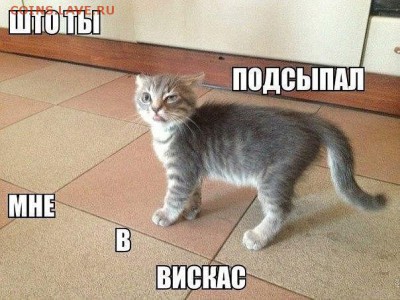 юмор - getImageRRAPN3V2