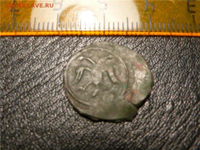 Первое изображение 2-главого орла на русских монетах. - 8fd722dee0f0