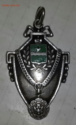 СЕРЕБРЯННЫЙ ЗНАК  1889 ГОД  НА ОЦЕНКУ . - 20150314_135146-1