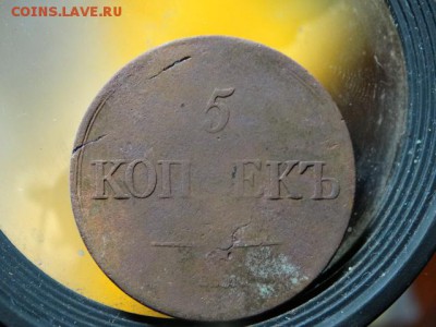 5 копеек 1831 Массон - DSC05866.JPG