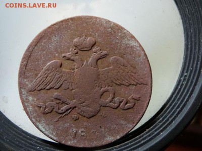 5 копеек 1831 Массон - DSC05868.JPG