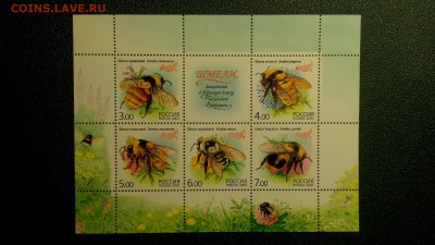 JC_Фауна_13_Россия Шмели мл. с номинала. MNH - IMG_20150315_024444