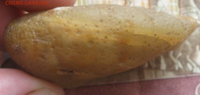 Вольные старатели - IMG_5817.JPG