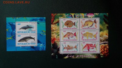 JC_Фауна_23_Рыбы. MNH - IMG_20150315_125031