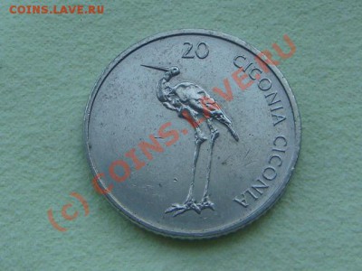 -v- Словения 20 толаров 2005г.  до 15.06(21.00) - 6DSC05524.JPG