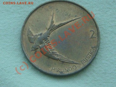 -v- Словения 2 толария 1992г.  до 15.06(21.00) - 5DSC05550.JPG