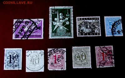 Бельгия стандарты 7 шт. до 21.03.15г. до 22-00 - DSCF2793.JPG