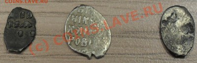 Помогите определить чашуйки. - Чешуя-1