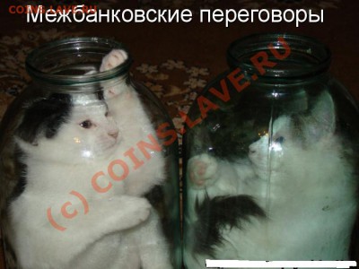 юмор - 474098