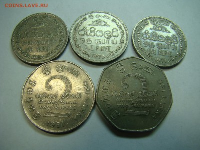 Монеты Шри-Ланки на оценку - DSC07882.JPG