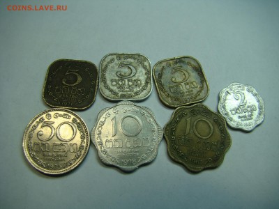 Монеты Шри-Ланки на оценку - DSC07884.JPG