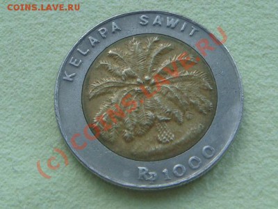 -v- Индонезия 1000 рупий 1996г. до 15.06(21.00) - DSC05597.JPG