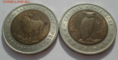 Красная книга 1991 CCCР Козел и Филин 22:00 20.03.2015 - DSC05159.JPG