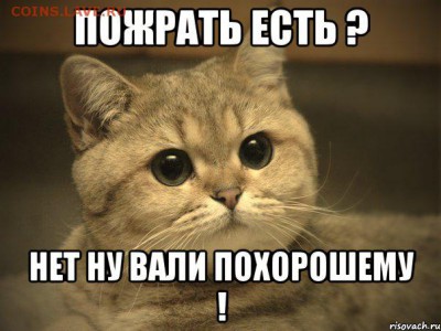 Ну а теперь про Украину - pidrila-ebanaya-kotik_45410699_orig_