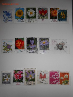 Марки ЦВЕТЫ, 44 разных, до 22.03.2015 - DSCN5884.JPG