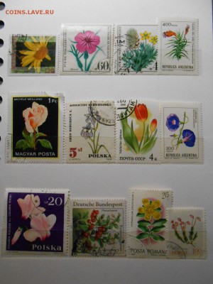 Марки ЦВЕТЫ, 44 разных, до 22.03.2015 - DSCN5882.JPG