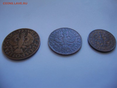 Подборка монет Польши 1923-1937 до 22-00 20.03.15 - DSC02285.JPG