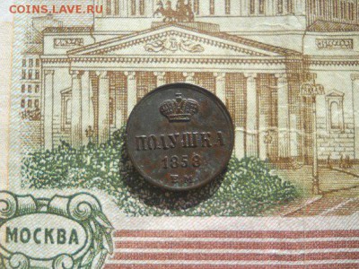Полушка 1858 Е.М. - пол 2 пер 2