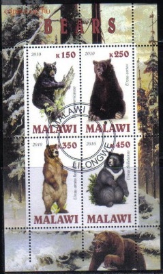 Малави мл 2010г Медведи до 19.03 22.00мск - Малави мл 2010г Медведи