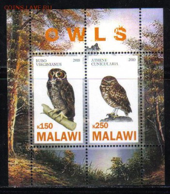 Малави мл 2010г Совы до 19.03 22.00мск - Малави мл 2010г Совы