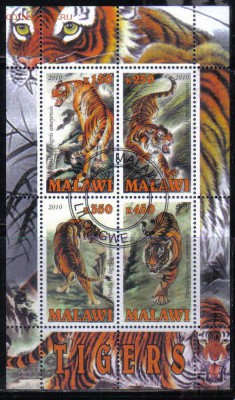 Малави мл 2010г Тигры до 19.03 22.00мск - Малави мл 2010г Тигры