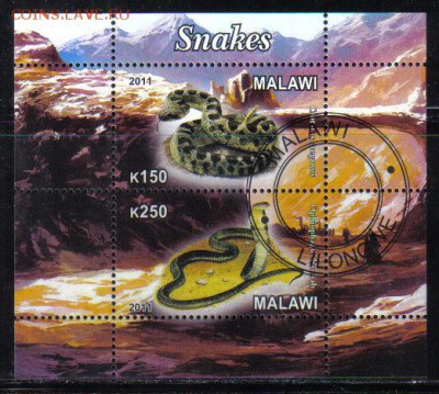 Малави мл 2011г Змеи до 19.03 22.00мск - Малави мл 2011г Змеи