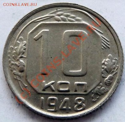 №5 - P1040162.JPG