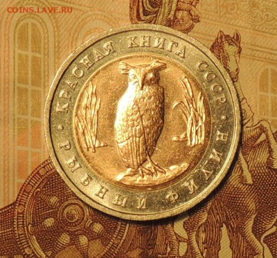 КК, 5 рублей, 1991 г. Рыбный филин до 23.03.15 г. 22:00(мск) - DSCN9612.JPG