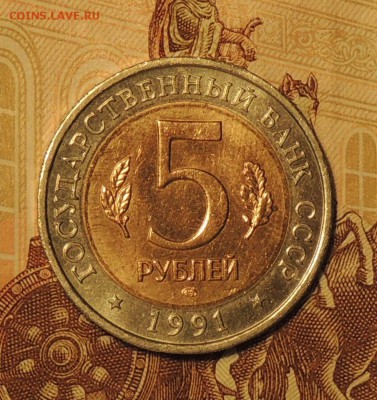 КК, 5 рублей, 1991 г. Рыбный филин до 23.03.15 г. 22:00(мск) - DSCN9614.JPG