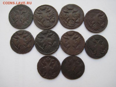 деньга 1735-53 г. 10 шт. до 22.03.15 - IMG_3382.JPG
