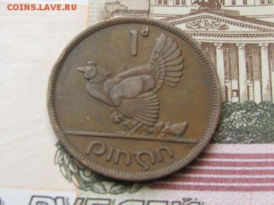 ИРЛАНДИЯ 1 ПЕННИ 1948 КУРИЦА С ЦЫПЛЯТАМИ - 4.JPG