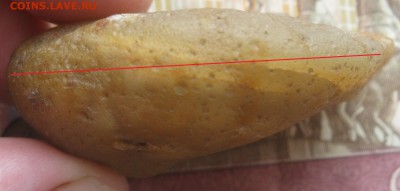 Вольные старатели - IMG_5817.JPG