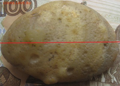 Вольные старатели - IMG_5816.JPG
