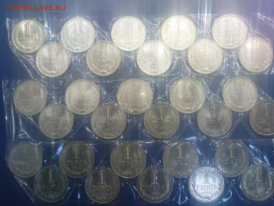 Набор годовиков - DSC00591.JPG