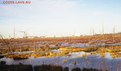 ФОТО - просто фото. Те что получились удачными. - Нижневартовск