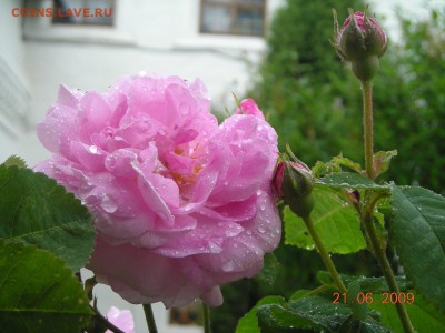 ФОТО - просто фото. Те что получились удачными. - 0_f7b5_bca3fe11_-1-orig