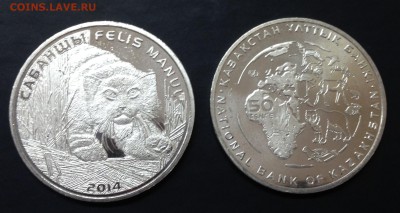 50 тенге 2014 Манул. Фикс - image-19-03-15-02-38