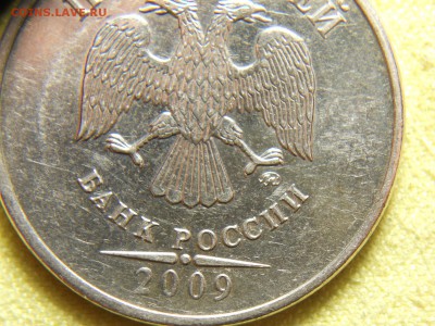 Вопросы по разновидам от alex-tap - DSCN8773.JPG