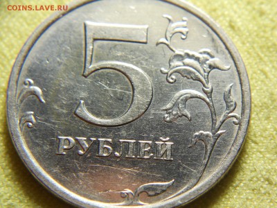 Вопросы по разновидам от alex-tap - DSCN8770.JPG
