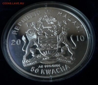 Владимир Высоцкий,Малавия,50 квачей,2010 22.03 в 22,30 - P1160510.JPG