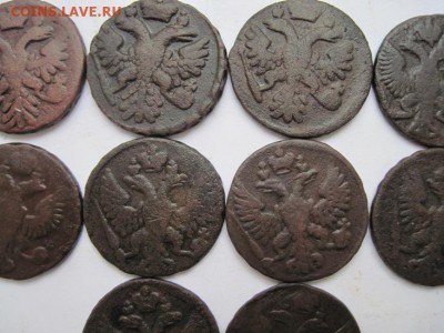 деньга 1740-53 г., 10 шт. до 24.03.15 - IMG_3325.JPG