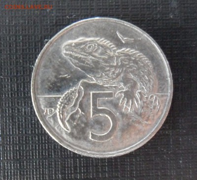 5 центов 1999 Новая Зеландия, до 23.03..21.00 Мск - SAM_1271.JPG