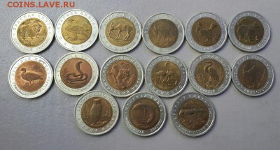 Красная Книга 13 монет Оценка - IMG_201503214911