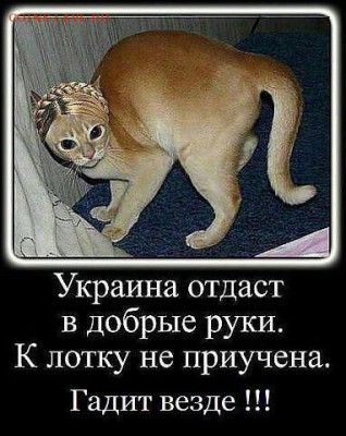Ну а теперь про Украину - IMG-20150319-WA0026