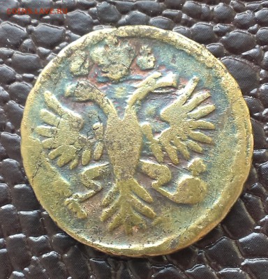 Деньга 1750 и 1731 года. Оценка. - IMAG1456